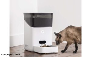 Khay thức ăn Petnet SmartFeeder (3)